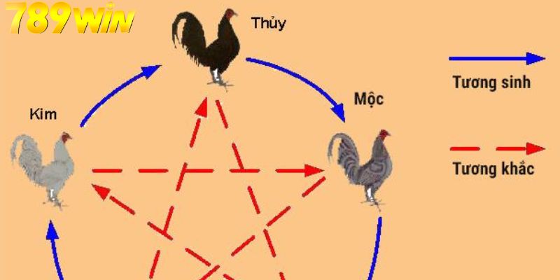 Ngũ hành là điều mà bạn không thể bỏ qua trong chiến thuật